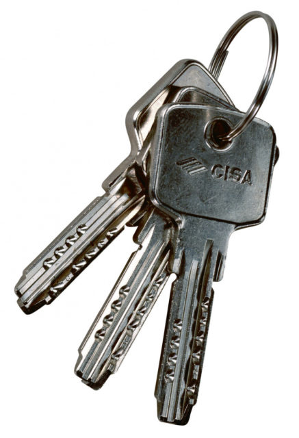 Заготовка ключа для цилиндров серии Astral 00620.01.0